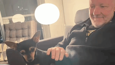 I never liked small dogs. But then along came Ferdie