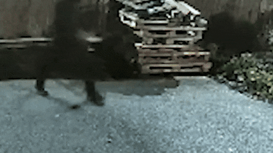 Train suspect accused of a string of earlier knife attacks