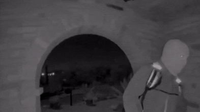 Person detained in Nancy Guthrie disappearance case