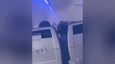 Bird strikes and fume incidents ruffle feathers for Boeing and aviation regulators