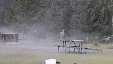 Rampaging bison flips camper more than two metres in the air
