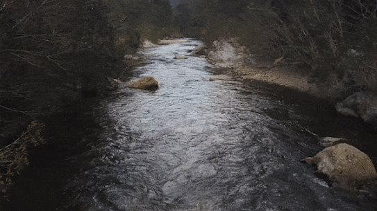 Kowmung River could be impacted by the raising of a dam wall.