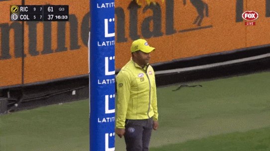 Dustin Martin returned for Richmond.