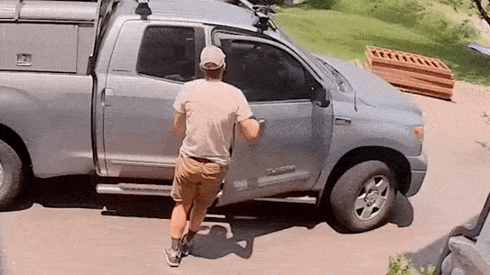 Un tuttofare trova un orso nel suo camion in Colorado.