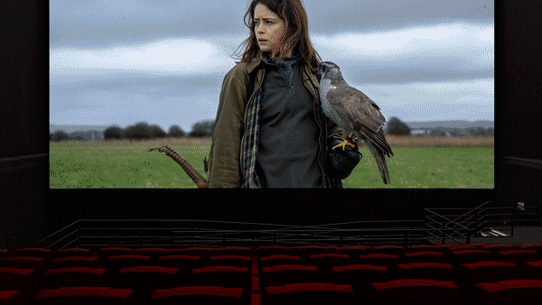 What to watch at the movies this week: H is for Hawk, Power Ballad, Backrooms, and Amrum.