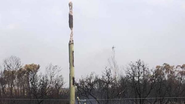 Businesses lost power momentarily after multiple power poles and trees were burnt during the bushfire at Woodgate.