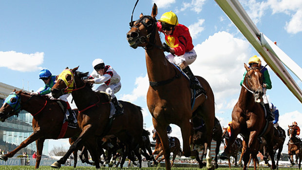 Prompt Prodigy is the son of Allez Wonder, ridden here by Michelle Payne to victory in the 2009 David Jones Toorak Handicap during Caulfield Guineas Day.