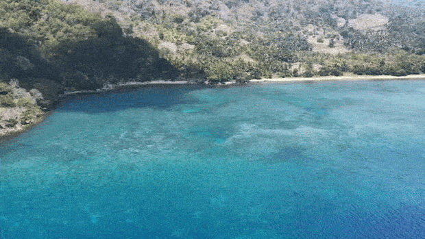 The Lesser Sunda Islands harbours incredible marine biodiversity.