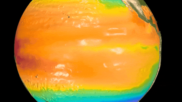 Computer animation modelling the 1997-1998 El Nino.