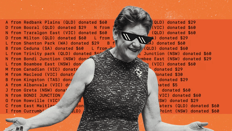 What 10,000 donors reveal about One Nation's insurgency