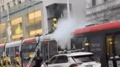 Sydney trams boss apologises for ‘totally unacceptable’ light rail fires