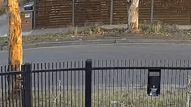 Police release surveillance footage before gang boss is shot in the neck