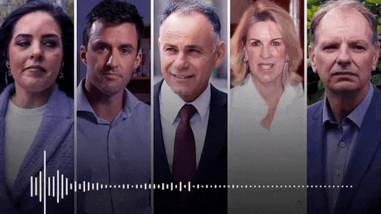 Inside the meeting where senior Liberals “piled on” Moira Deeming.