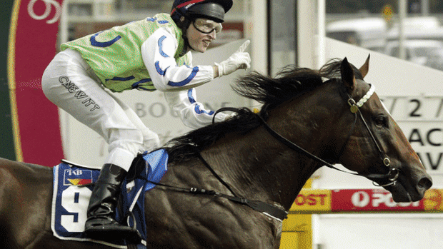 Snitzel and progeny