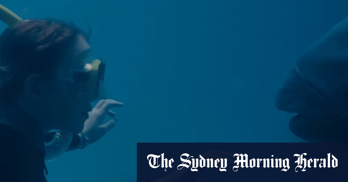 Tim Winton and the film adaptation of his novel Blueback - Vimarsana News