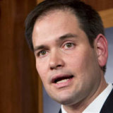 Republican Senator Marco Rubio wants the US government to open an investigation into TikTok.