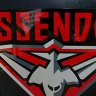 Essendon logo