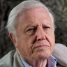 Civilisation may 'collapse' if climate change ignored: Attenborough