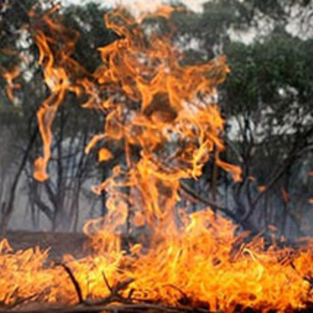 Fire burning south of Queanbeyan extinguished