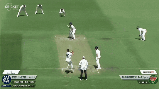 Will Pucovski is felled by a short ball rom Tasmanian quick bowler Riley Meredith earlier this year.