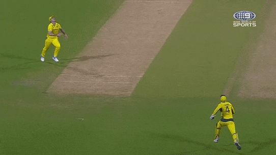 Mitch Marsh drops Indian champion Virat Kohli in Australia’s opening game of the ODI World Cup. 