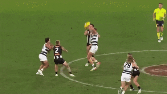 De Goey has been offered a one match ban for this tackle on Dangerfield.