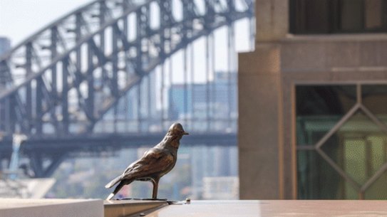 Sydney street art gif