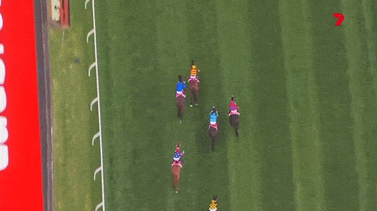 Aerial view of the controversial Cox Plate finish between Anamoe (left) and State of Rest.