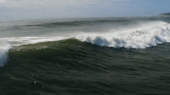 Narrabeen swell gif