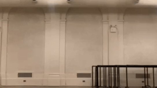 “He’s the Nureyev of our time,” says The Australian Ballet’s artistic director David McAllister of David Hallberg. “He’s as famous as it gets.”