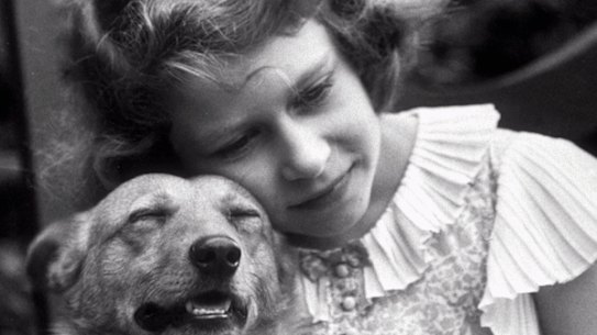 The Queen and her corgis