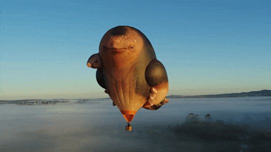 Patricia Piccinini’s new airborne sculpture “Skywhalepapa” will fly alongside its companion, “Skywhale”.