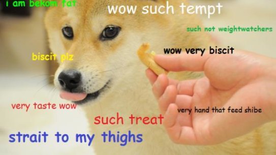 Wow such meme: doge overtook the internet in 2013.