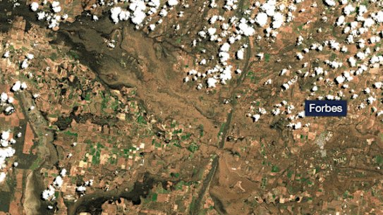 Forbes before and after