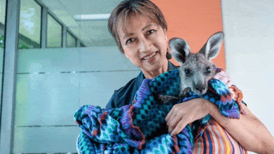 Homepage composite of local Victorian heroes recognised in the 2023 Australia Day honours list.