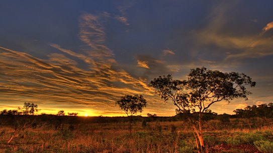 The Coroner handed down her findings on youth suicides in the Kimberley on Thursday.