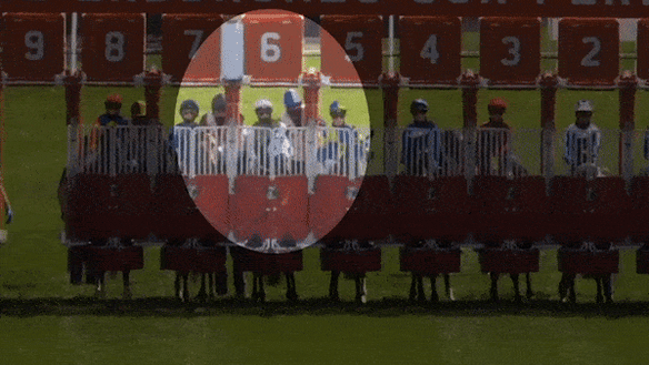Jockey Dwayne Dunn has taken legal action against Racing Victoria, claiming damages for ongoing head and neck injuries that ended his riding career. This gif shows the moment Dunn - riding Shot Of Irish in barrier six - hit his head on the starting barriers at Moonee Valley on September 5, 2020.