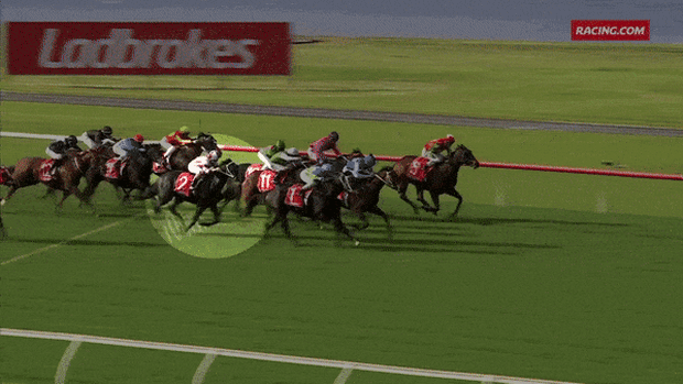 Watch: The unremarkable Sandown race that was referred to betting investigators