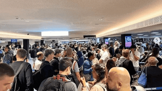 The SmartGate system has caused airport queues in Sydney and Melbourne.