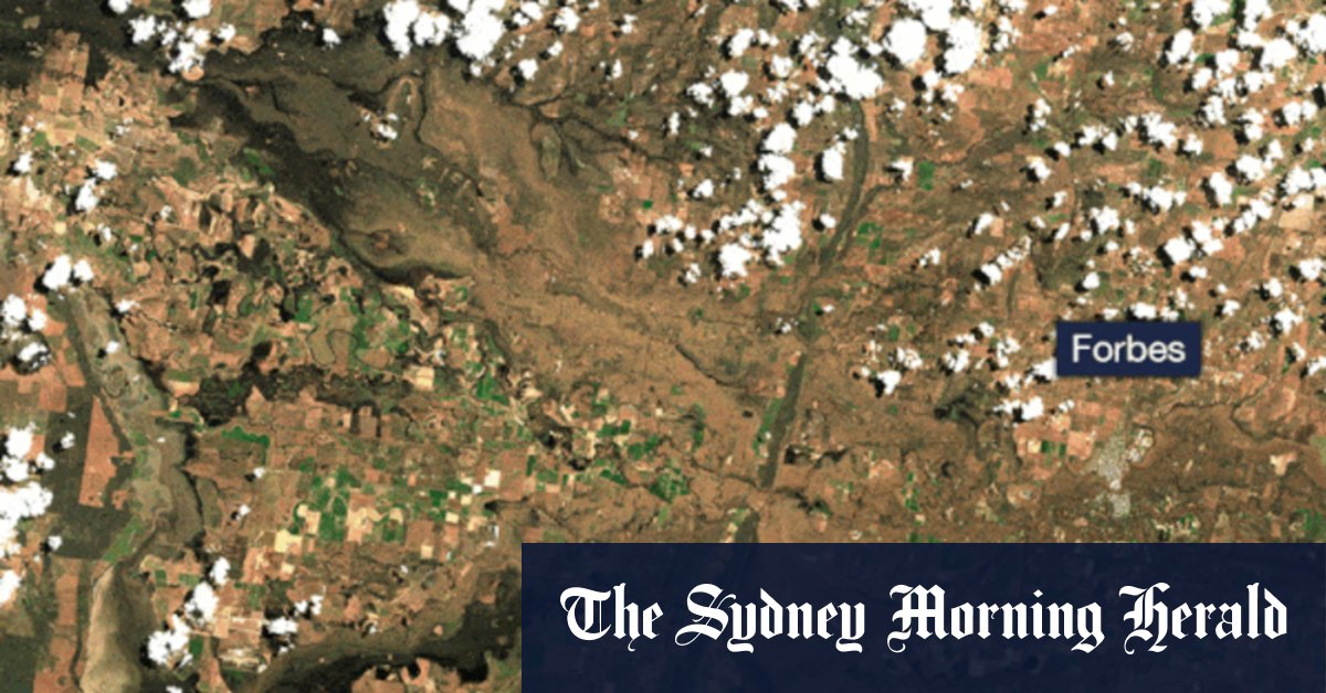 NSW floods: How lessons from Lismore helped flood victims in Central West - Vimarsana News