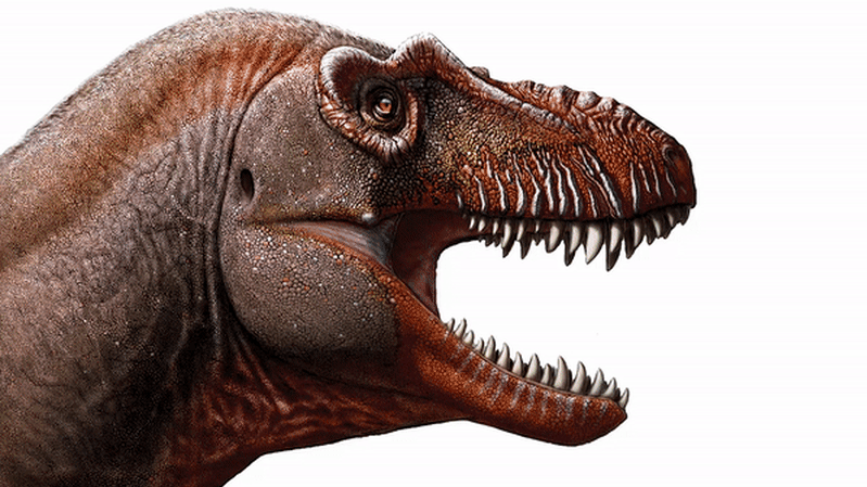 we re finding more dinosaurs than ever