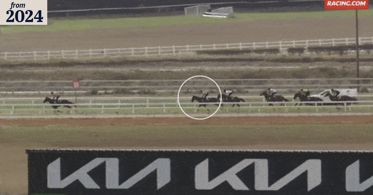 Racing 2024: What jumps racing hides from the public; Racing Victoria ...