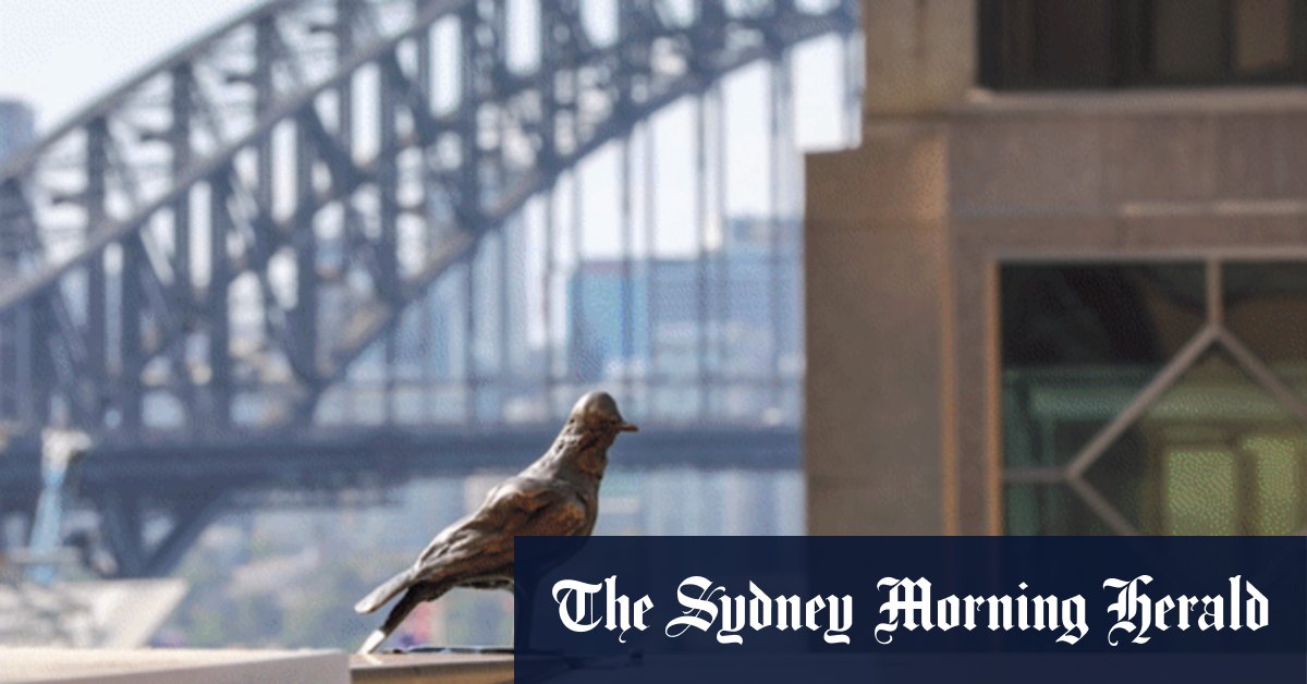 Street art Where to find the best in Sydney