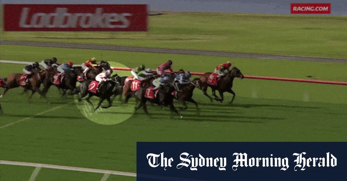 Watch: The Sandown race that was referred to investigators