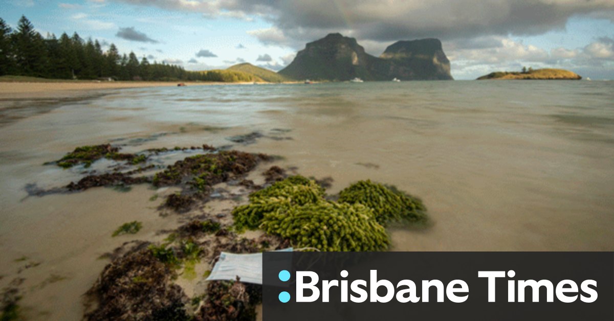 Coronavirus Australia: More than 1000 disposable face masks wash up on Lord Howe Island - Vimarsana News