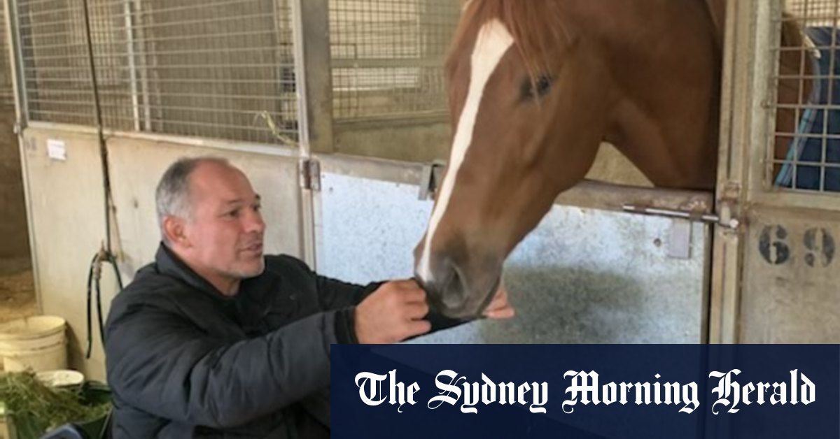 Comment un ancien Wallaby trouve le salut dans les courses de chevaux après une blessure à la colonne vertébrale au football
