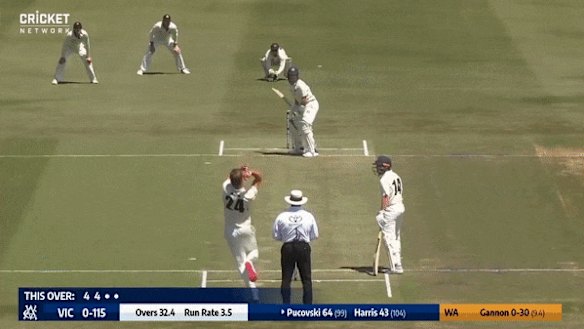  Will Pucovski plays pull shot against Western Australia.