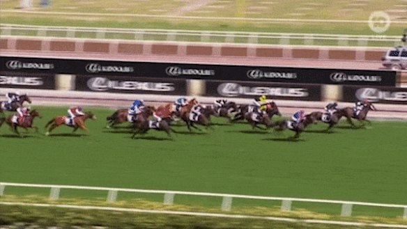 How this year's race concluded.