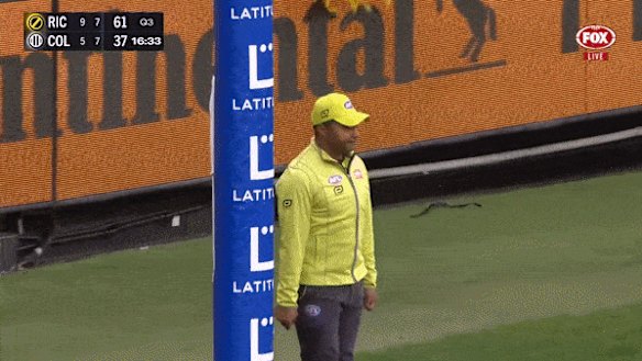 Another goal for a Tiger favourite.