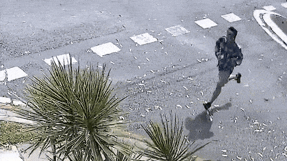 The alleged attacker captured by CCTV cameras running from the park.